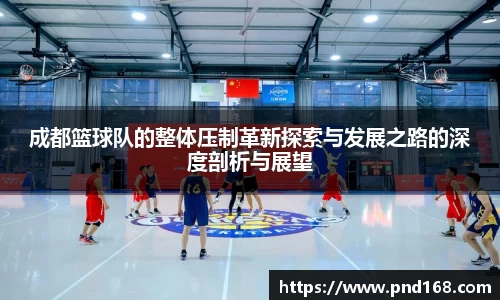 成都篮球队的整体压制革新探索与发展之路的深度剖析与展望