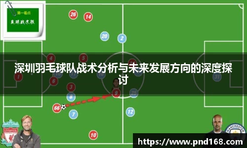 深圳羽毛球队战术分析与未来发展方向的深度探讨