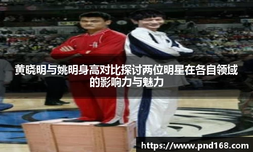 黄晓明与姚明身高对比探讨两位明星在各自领域的影响力与魅力