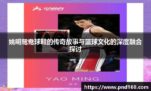姚明鸳鸯球鞋的传奇故事与篮球文化的深度融合探讨