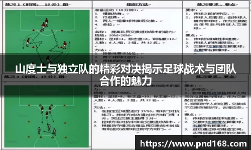 山度士与独立队的精彩对决揭示足球战术与团队合作的魅力