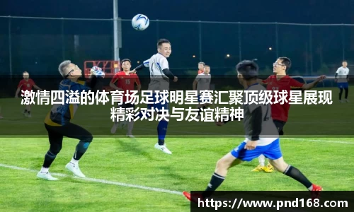 激情四溢的体育场足球明星赛汇聚顶级球星展现精彩对决与友谊精神